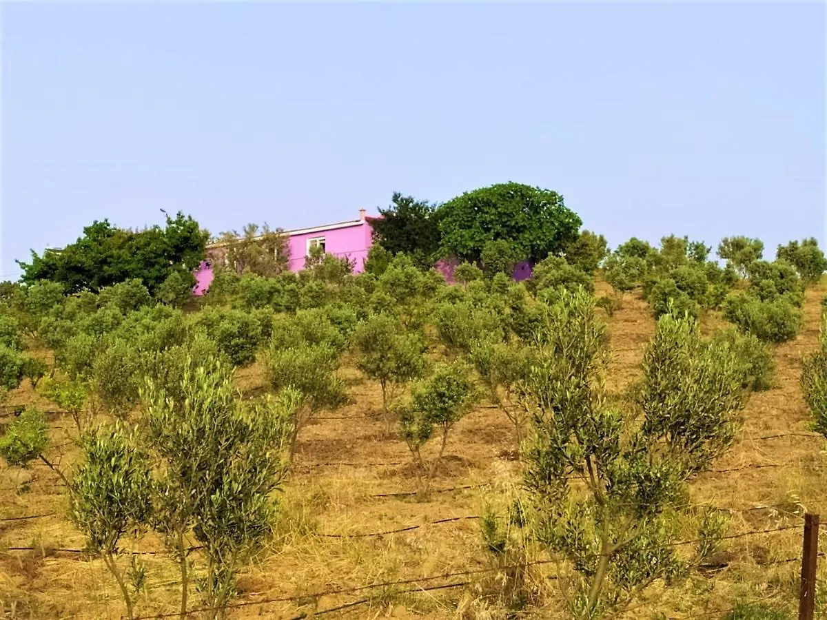 فيلا سفيريهيسارفي Lavender Tiny Houses بيت للعطل