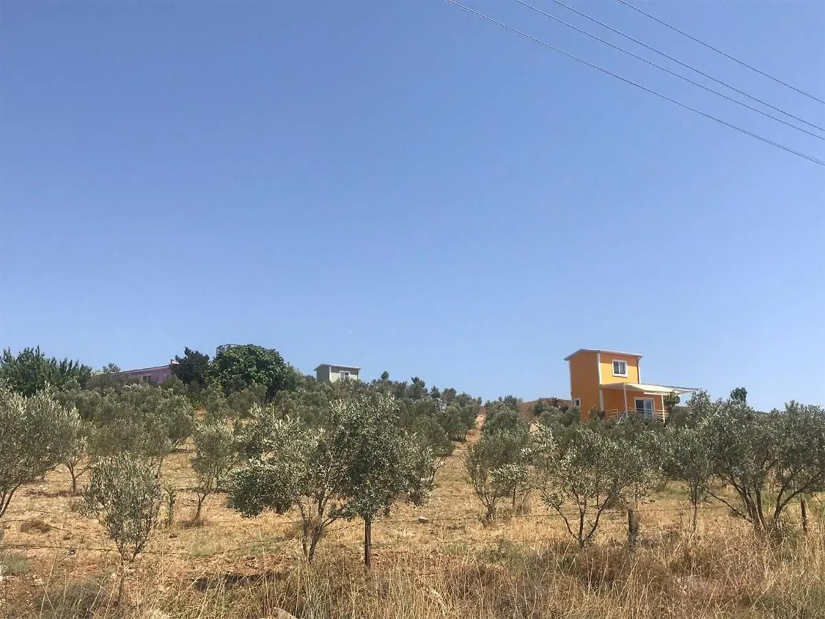 فيلا سفيريهيسارفي Lavender Tiny Houses